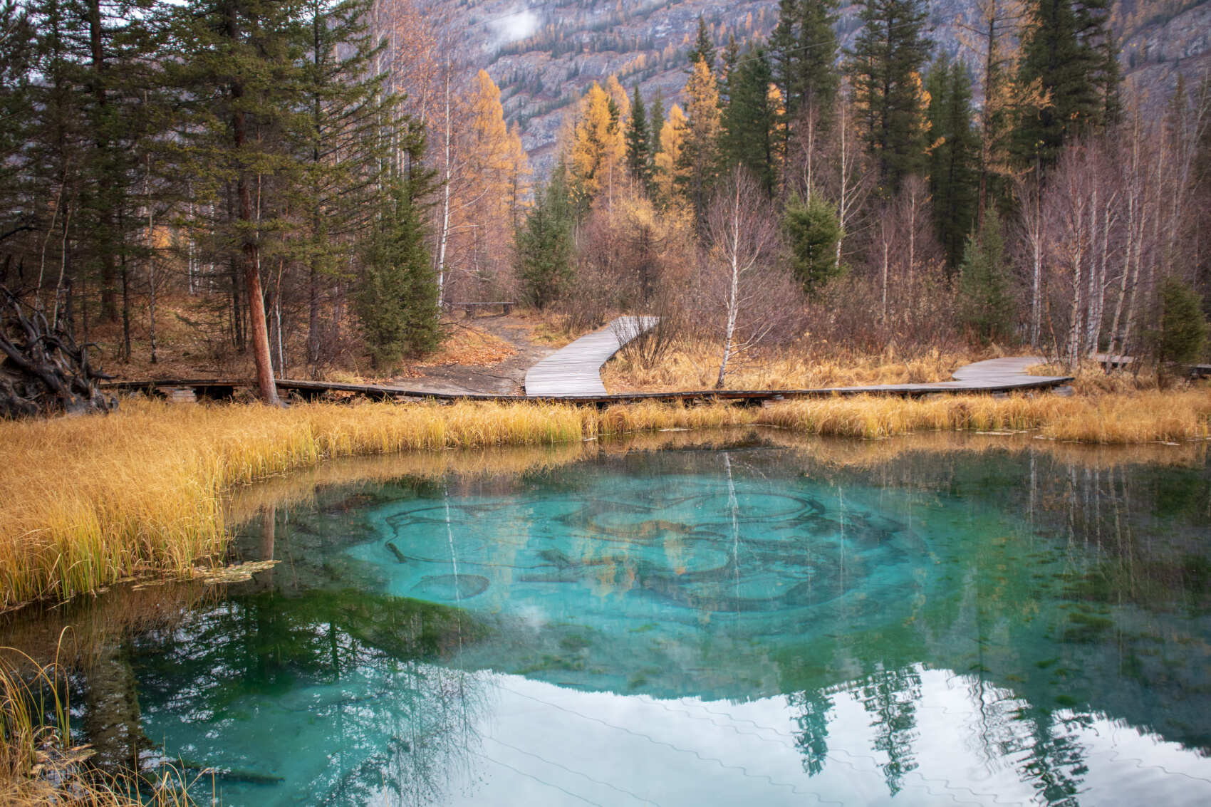 Перевалы Чуйского тракта и Кату-Ярык (мини-группа до 4 чел.) (5/41)