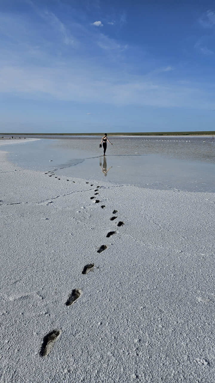 Эльтон и Баскунчак соленая пустошь (14/50)