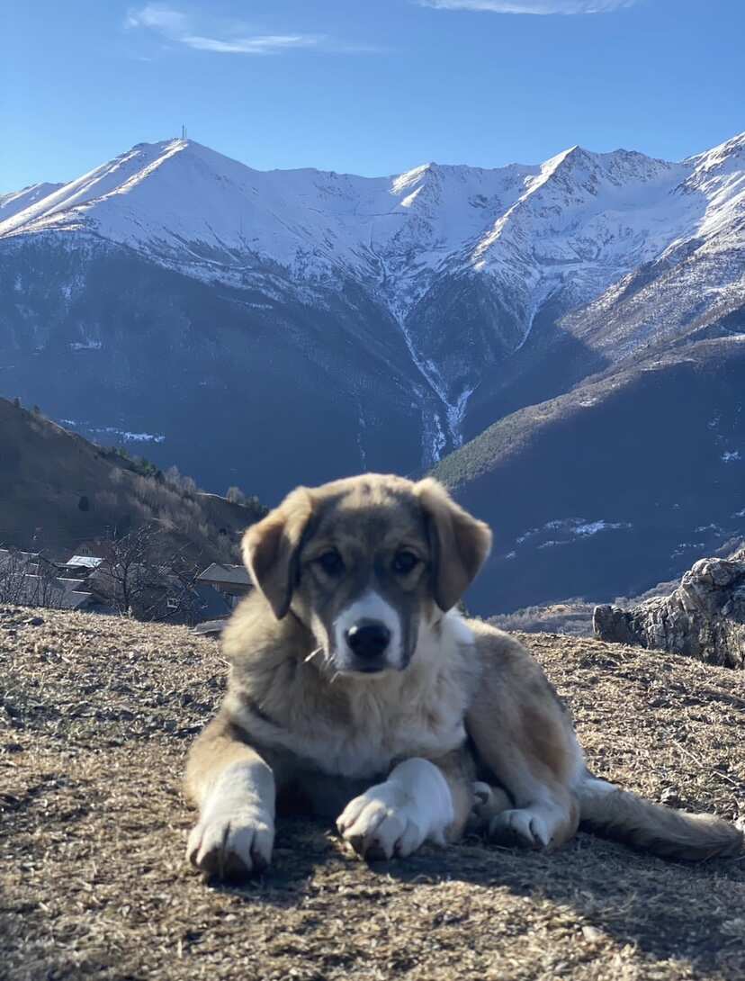 Горная Дигория: жемчужина Осетии (12/16)