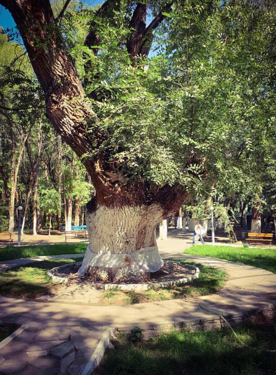 Жаркент- юго-восточные ворота Казахстана (13/17)