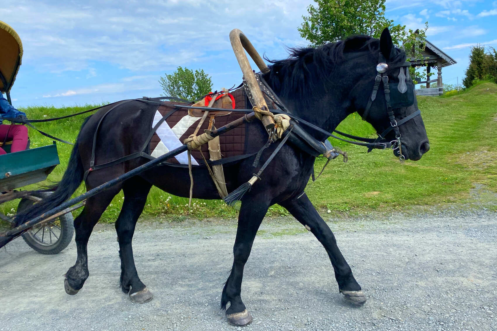 Карелия Классика за три дня! (14/34)