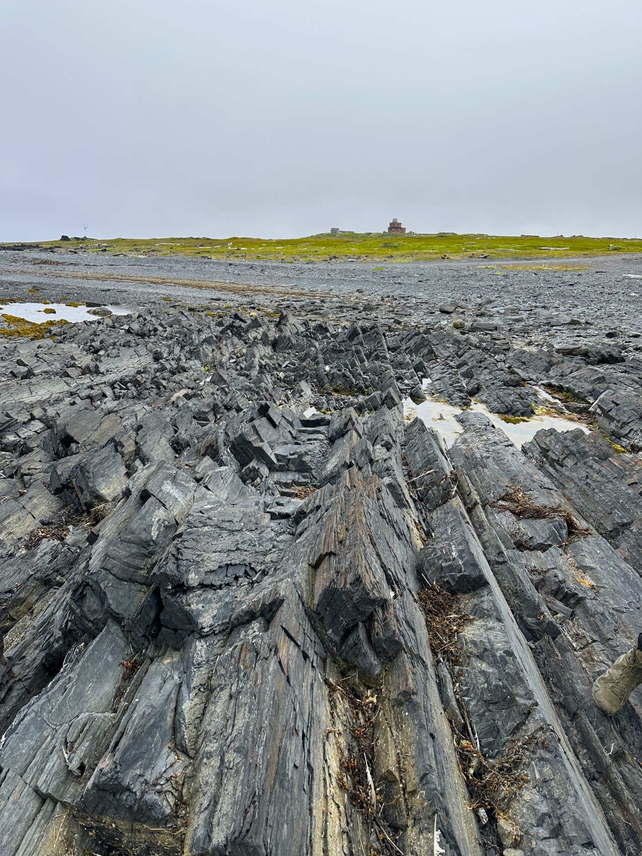 Рыбачий-Премиум 2.0: киты + джипинг + безлимит морепродуктов (по запросу, для готовых групп) (10/31)