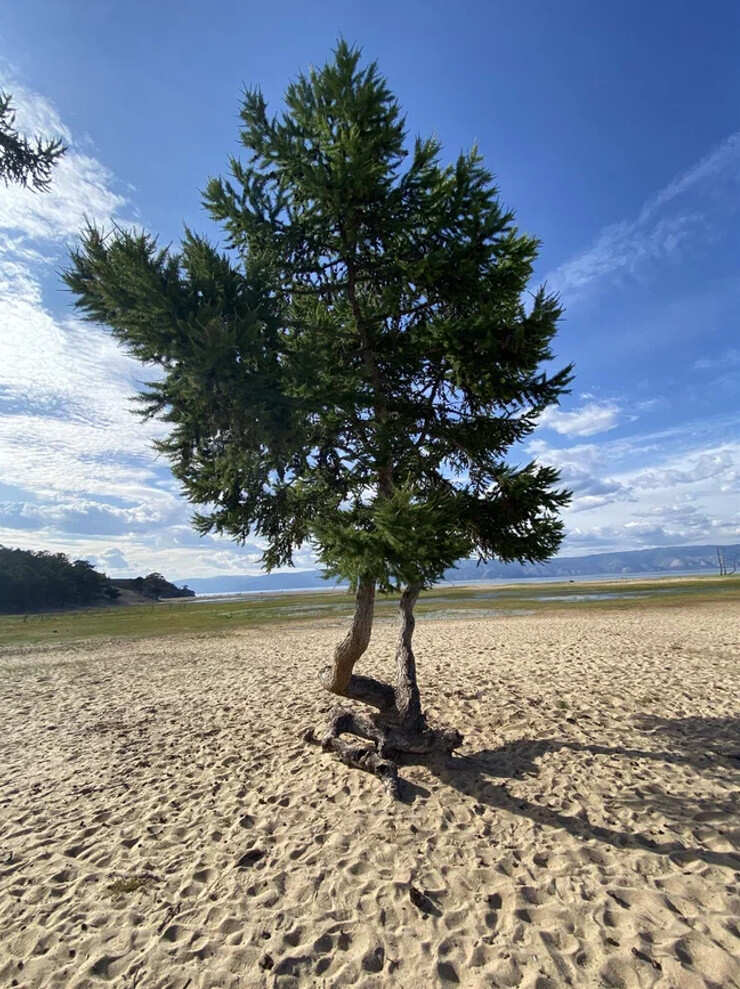 Путешествие к Сердцу Байкала от Буддийских Святынь до Ольхона:от Улан-Удэ до Иркутска (19/66)