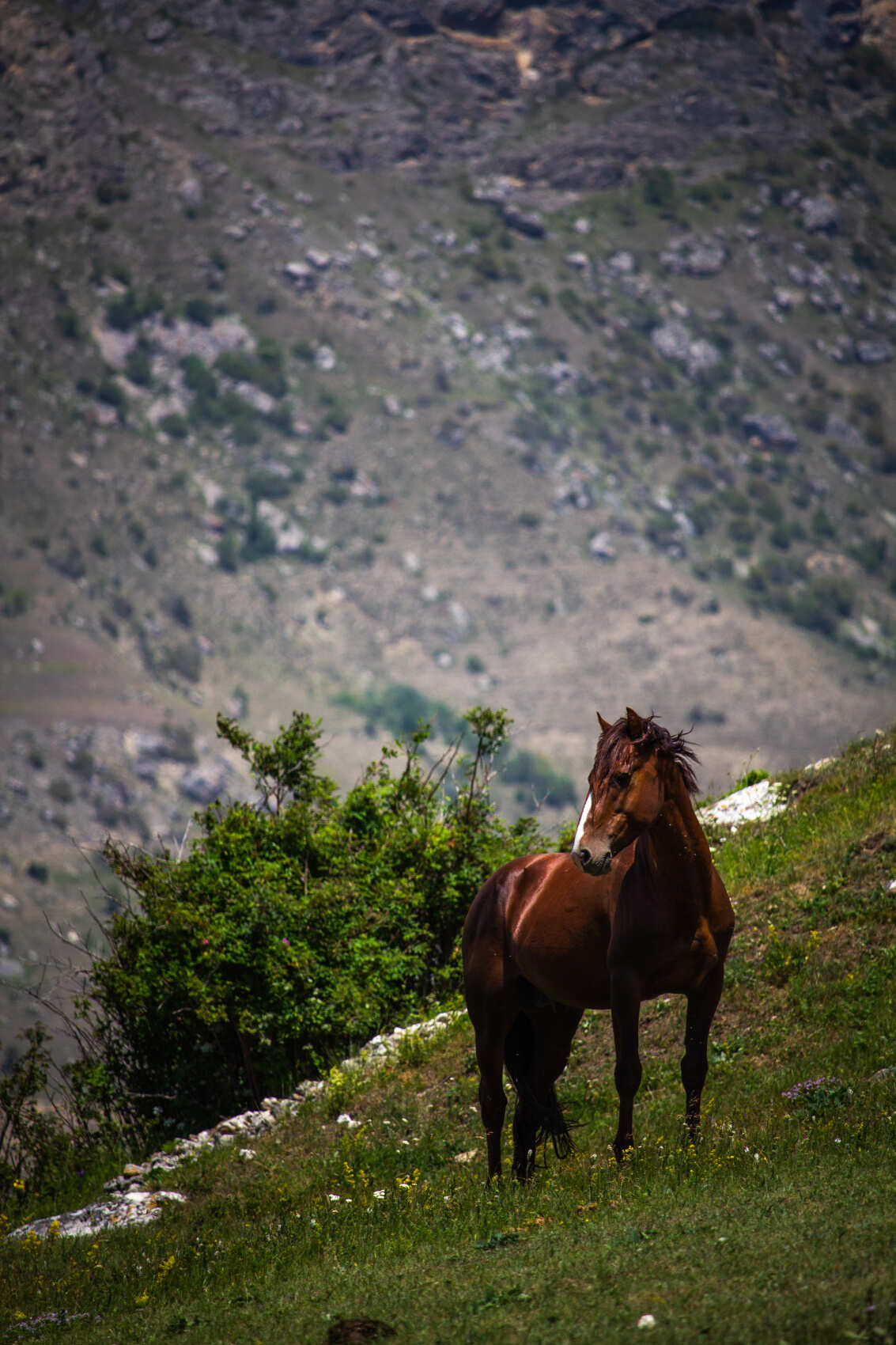 Джип-тур В сердце Осетии (8/19)