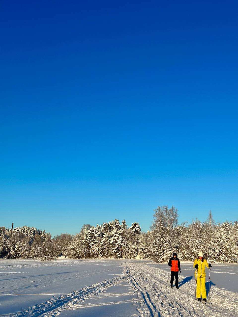 Лыжные тренировки в Санкт-Петербурге. Базовый уровень (11/28)