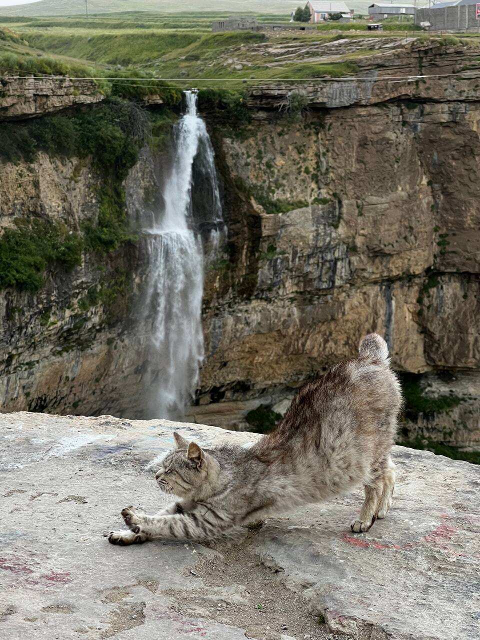 Влюбляющий Дагестан: 4 дня Реально Всё включено! (233/258)