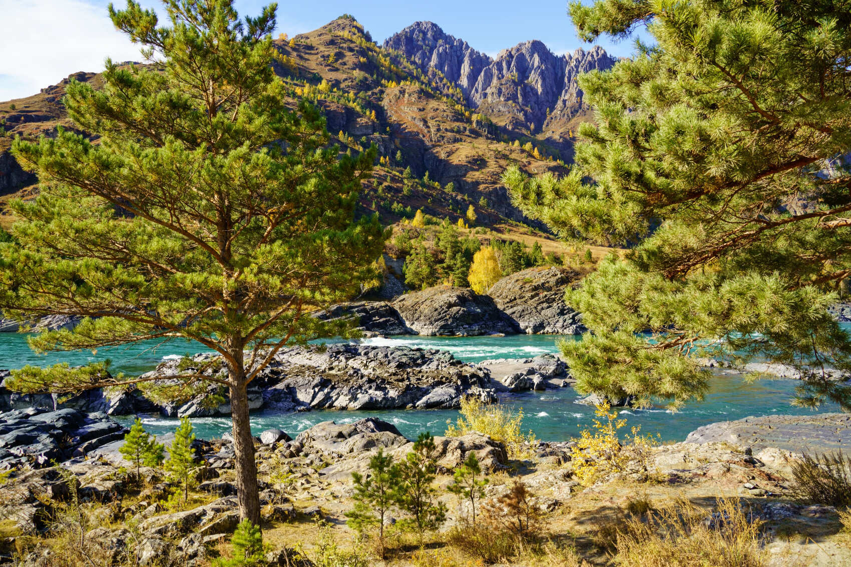 Алтай Аллегро 2026 (группа для 2-4 чел.) (13/34)