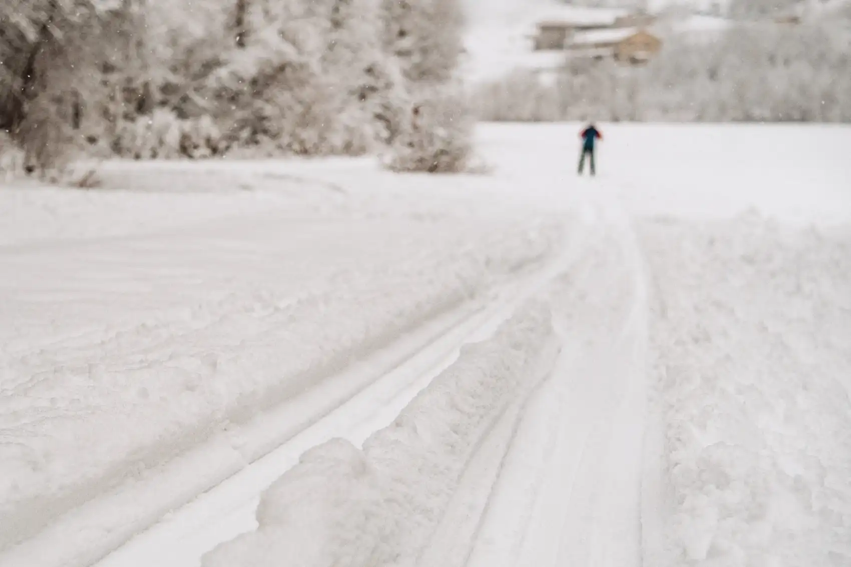 Лыжи и Спа. Однодневный выезд под Выборгом (13/16)