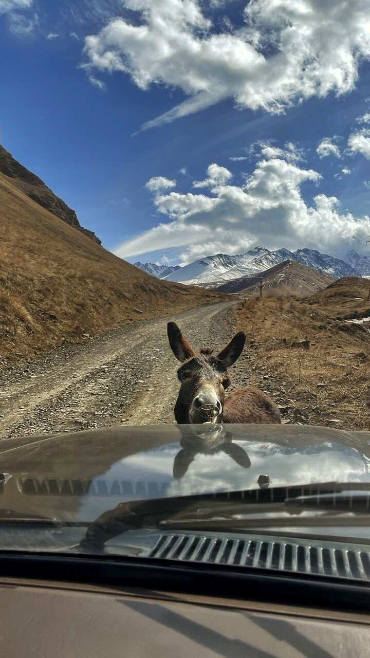 Язык Тролля и Голубые озёра, индивидуальный тур - экскурсия в Верхнюю Балкарию (24/26)
