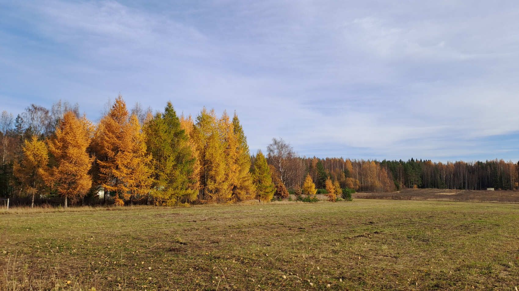 По тропам Ленинградской области. Петяярви.