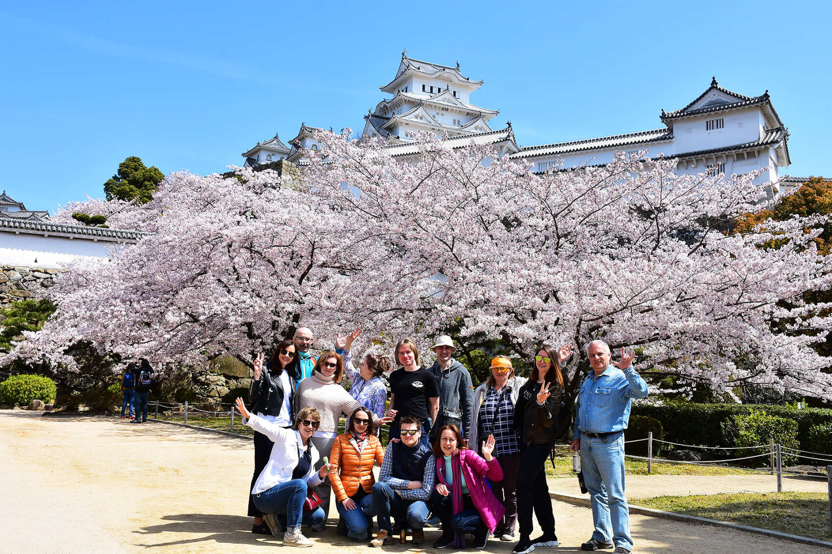 Сакура в Японских Альпах (10/48)