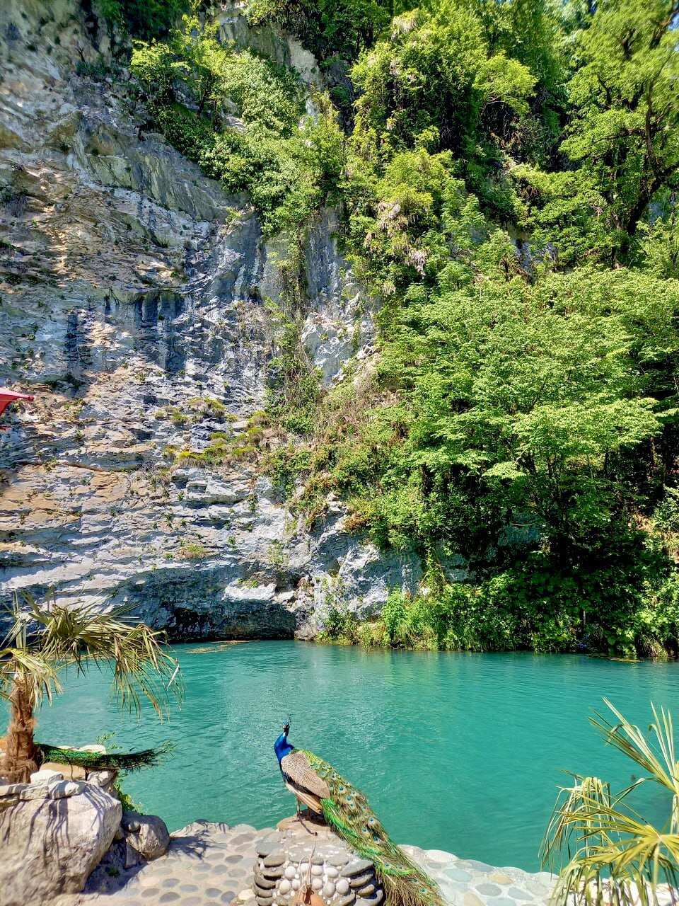 Тур-дегустация в Абхазию из Сочи и Адлера (9/11)