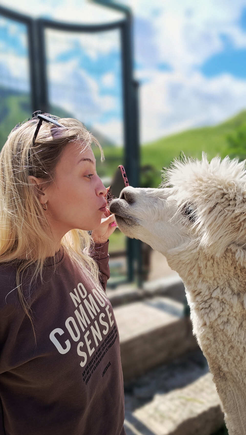 Индивидуальная поездка на ферму альпак — День с плюшевыми милашками (9/18)