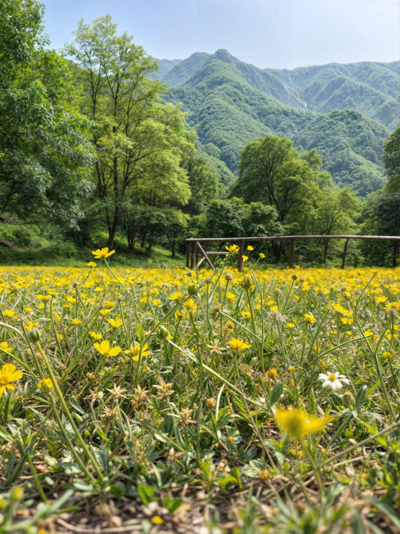 Тур-дегустация в Абхазию из Сочи и Адлера (11/11)