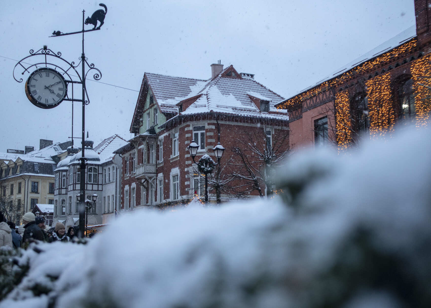 Необычный тур по Калининградской области (21/34)