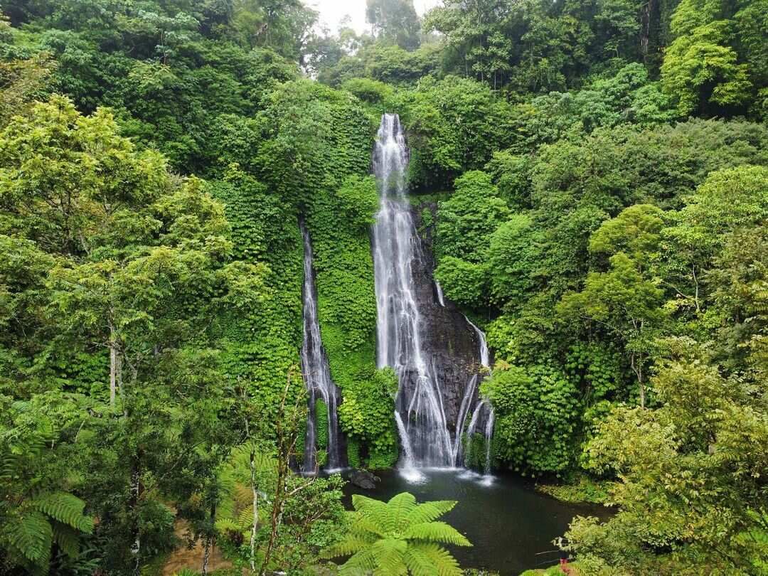 5 островов Индонезии (Бали, Нуса Пенида, Ява, Флорес, Комодо) 13 дней (13/122)