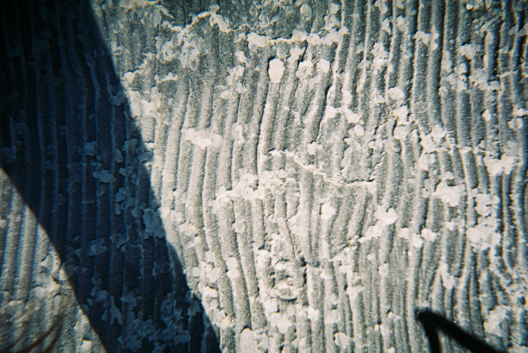 Эльтон и Баскунчак соленая пустошь (39/50)