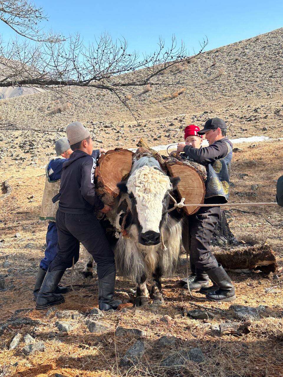 Серебряные Горы (8/27)