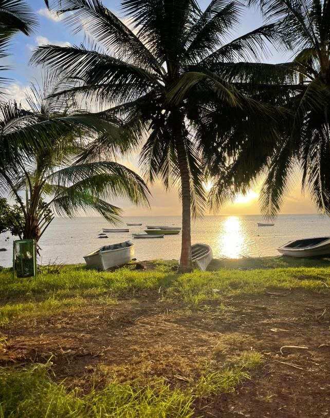 Сокровище Маврикия-Горбатые Киты И Кашалоты (26/52)