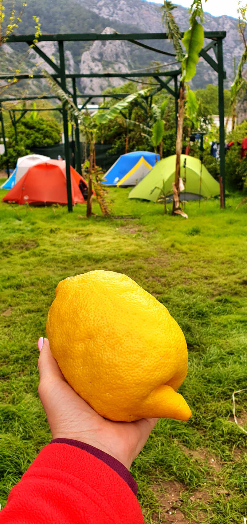 Треккинг по Ликийской тропе (без рюкзаков) (12/53)