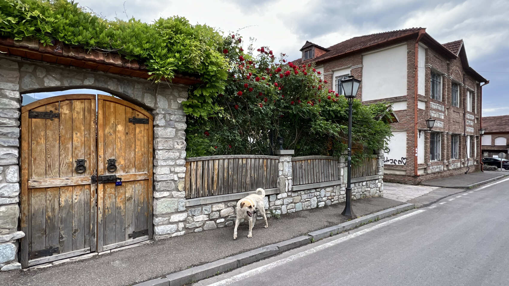 Удивительная Грузия: Тбилиси+Казбеки+Кахетия (67/152)