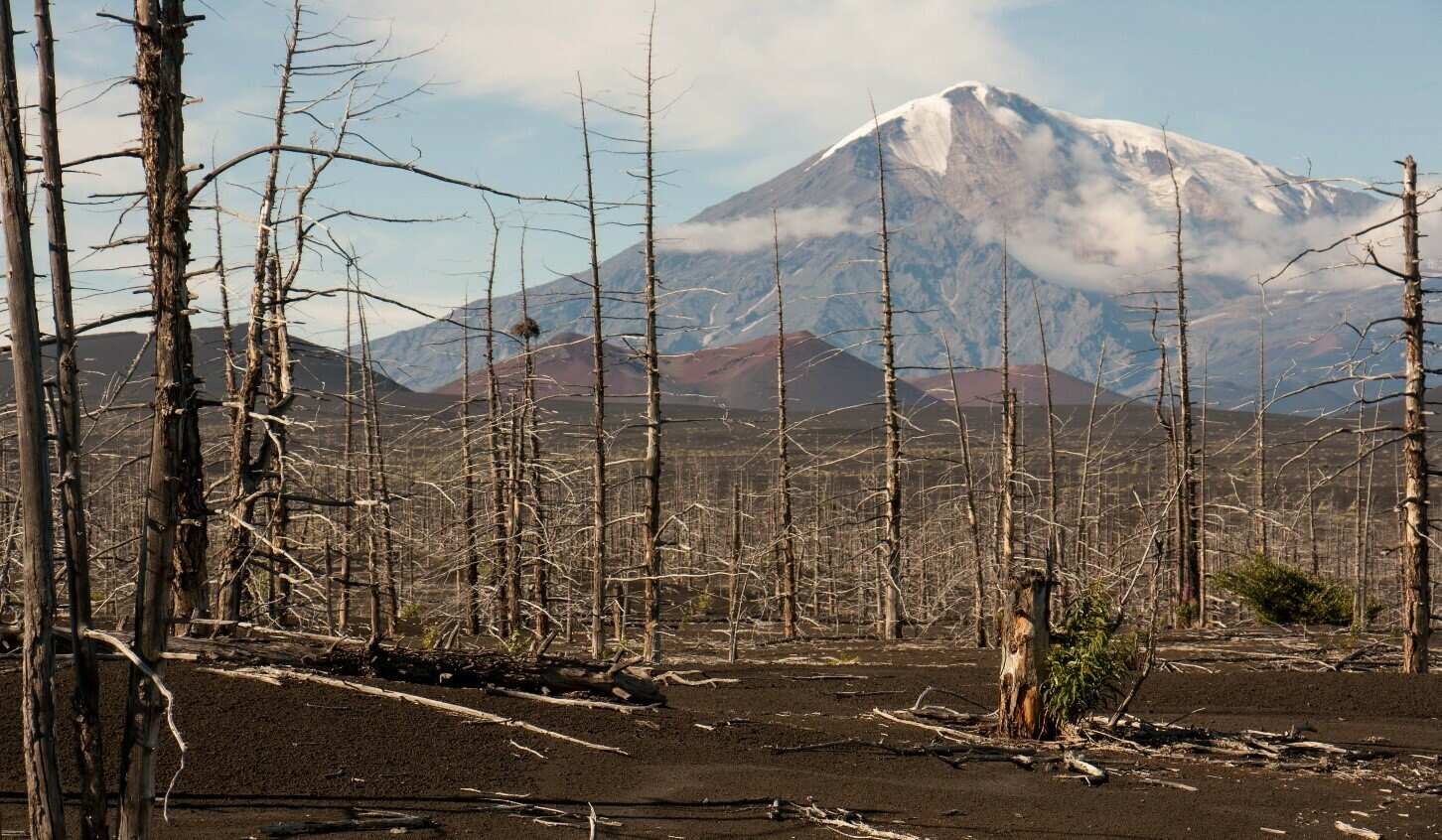 Камчатка Классика + Толбачик (6/25)