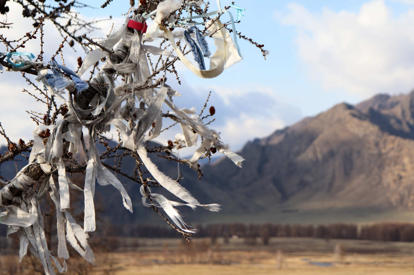 Перевалы Чуйского тракта и Кату-Ярык (мини-группа до 4 чел.) (25/41)