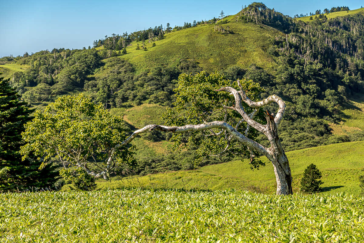 Весь Шикотан. Путешествие на другую планету (25/140)