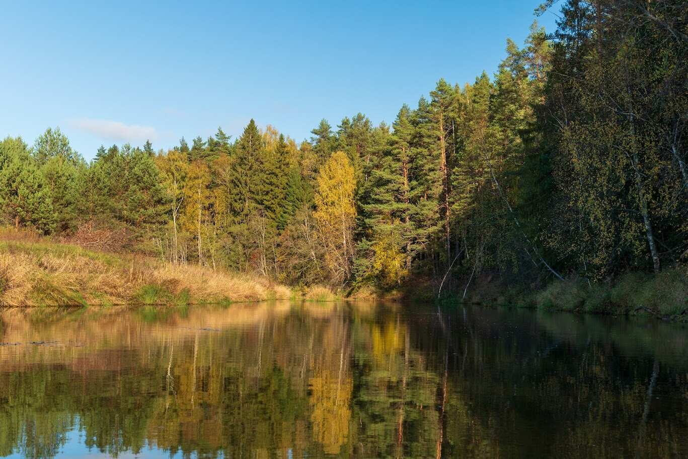 Сплав на байдарках по реке Осуга (2 дня) (3/9)