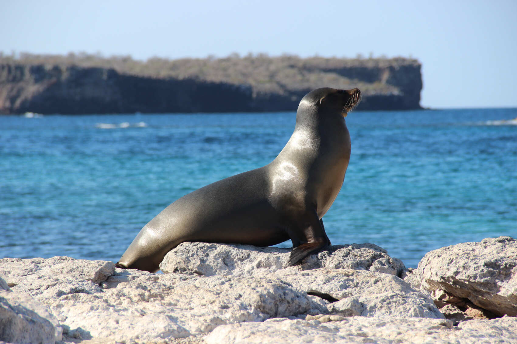 10 дней. Основные моменты Галапагосских островов: небольшая группа (7/18)