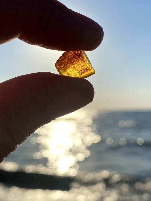 Тур по янтарному побережью и средневековым городам Калининградской области (5/23)