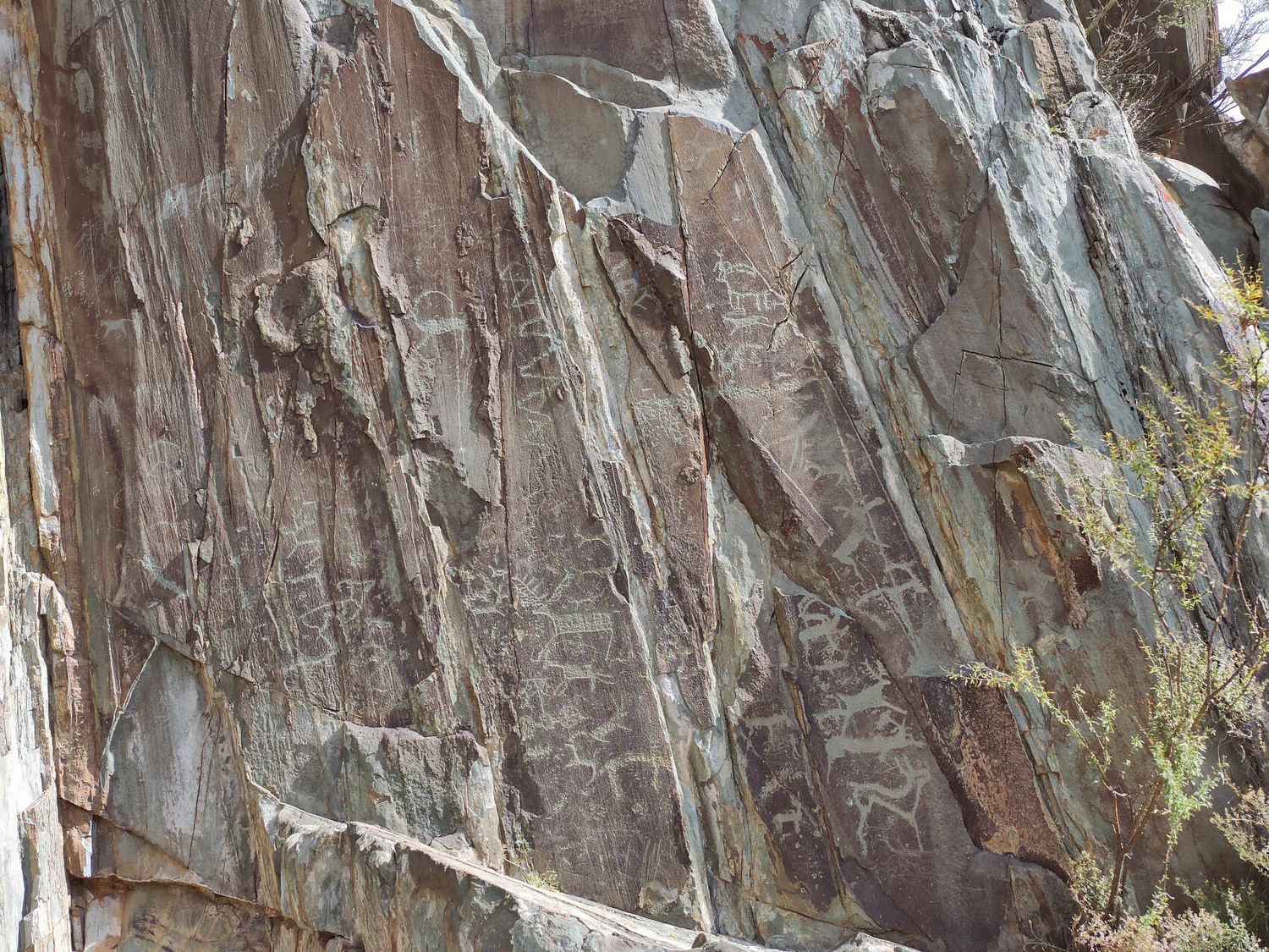 Сердце Горного Алтая: до Монголии и обратно (21/82)