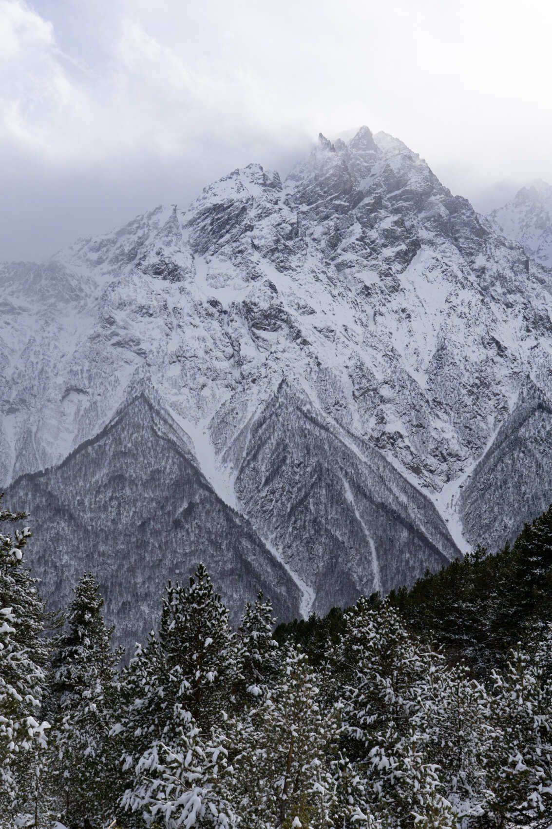 Северная Осетия и Кабардино-Балкария (62/91)