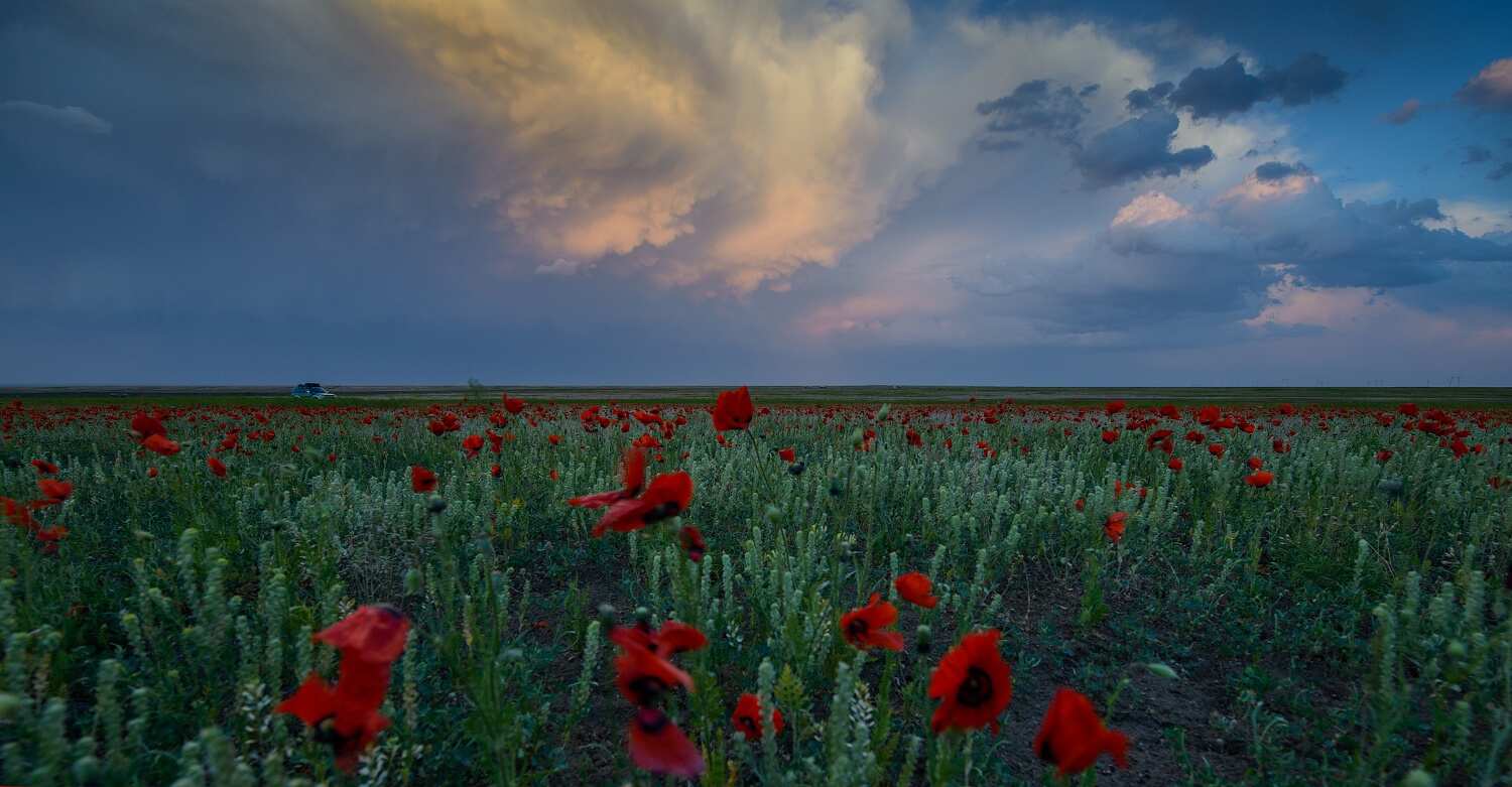 Фототур на Северный Тянь-Шань. Семиречье - жемчужина Казахстана. (85/126)