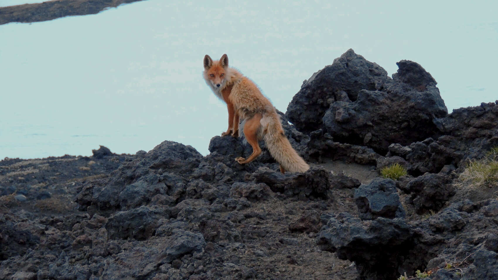 Камчатка для всей семьи питание, проживание, комфорт (19/45)