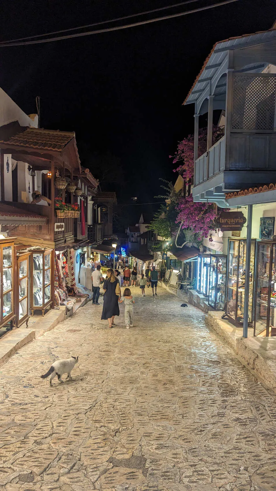 Турецкая Романтика: уютный Каш, деревня Чиралы, ликийская тропа, дюны Патары (29/57)