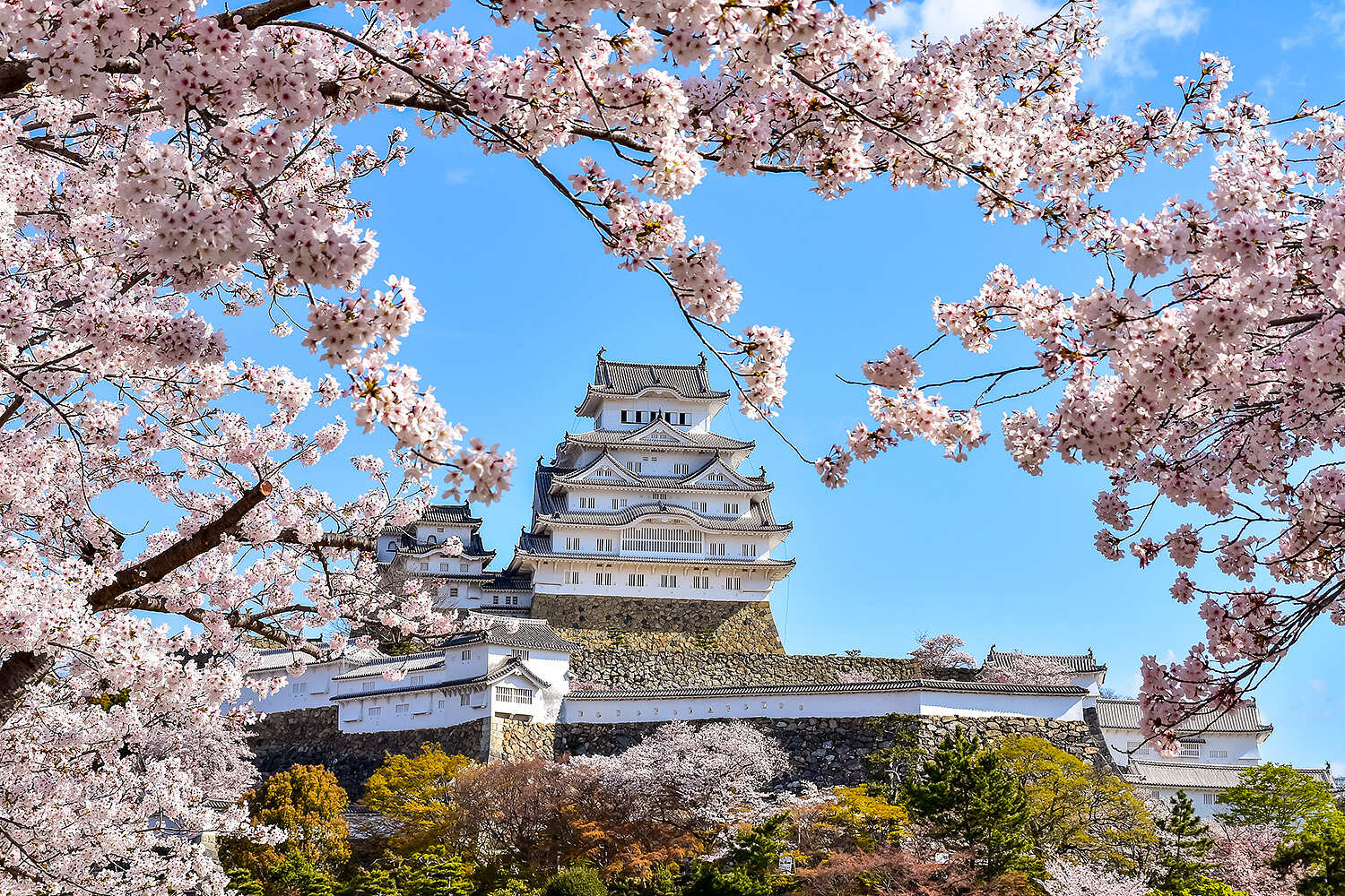 Сакура в Японских Альпах (3/48)