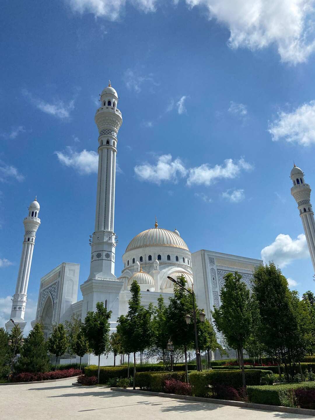 Чечня! История и Величие Кавказа. Из Владикавказа (23/51)