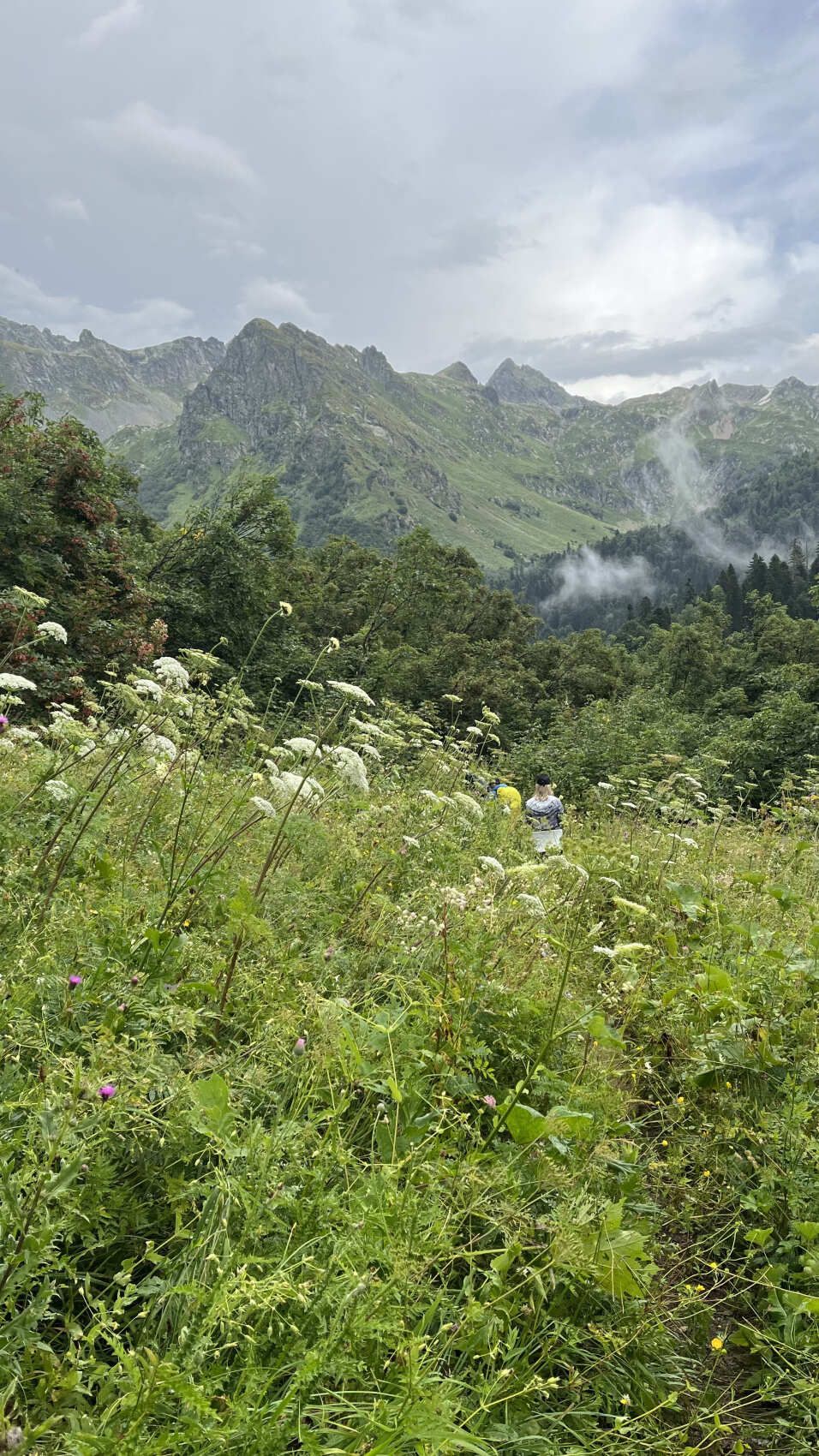 Кардывач Золотая осень 4 дня (11/22)