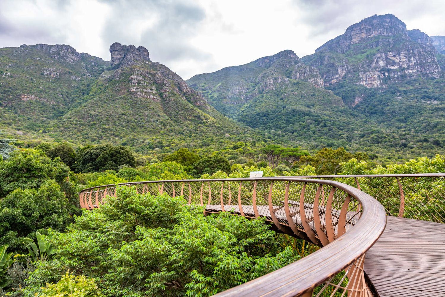 Юар: пингвины и киты (17/51)