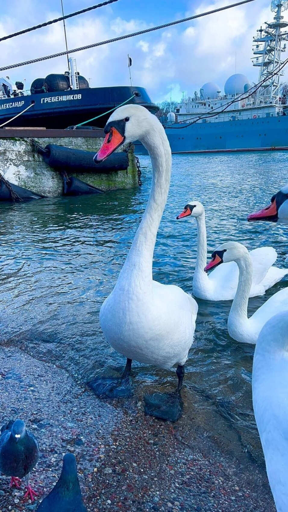 Лучшие локации побережья Балтийск,Янтарный,Светлогорск,Филинская бухта. (2/7)