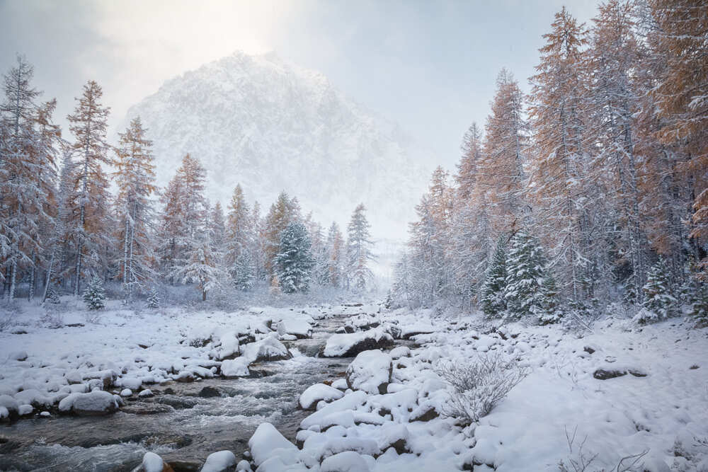 Фототур Золото Алтая (12/79)