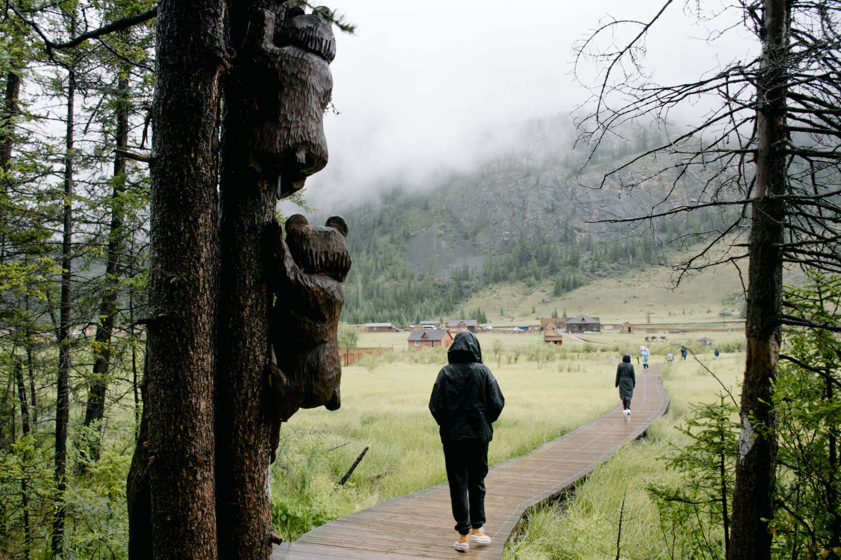  Комфорт-тур по Алтаю: яркое лето 2026 (10/48)