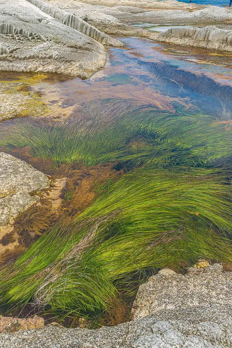 Три вулкана Курильских островов. Путешествие на другую планету (29/138)