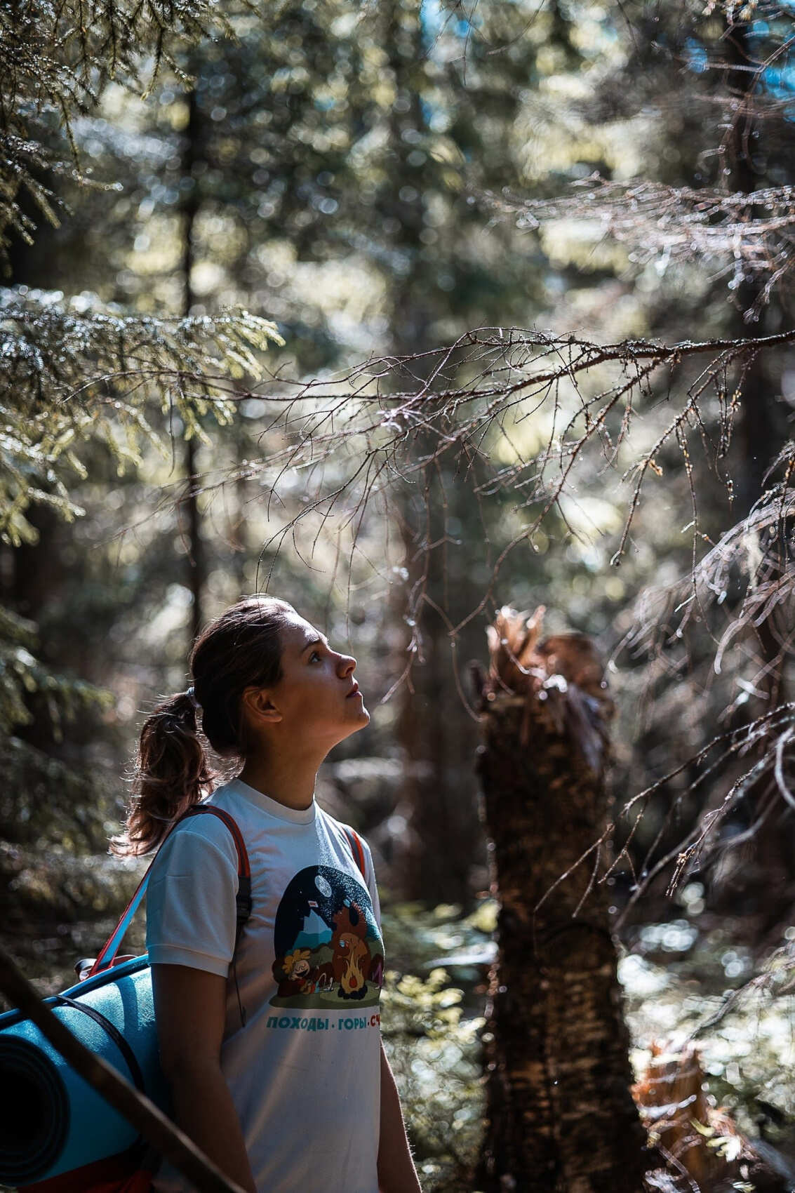 Поход по Большой Валдайской тропе