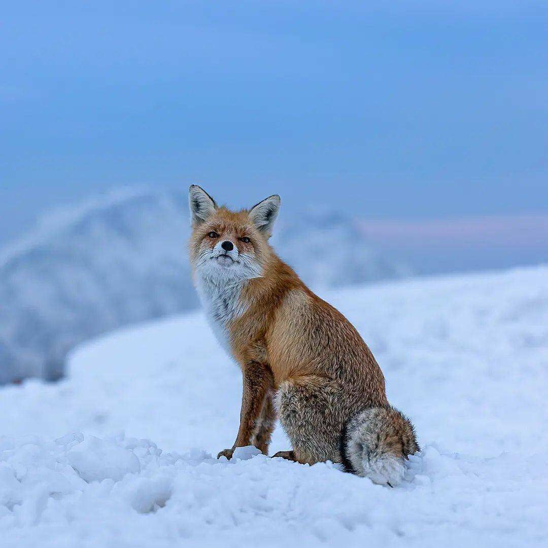 Эльбрус, ущелье Адыр-Су, Гижгит и Поляна нарзанов (5/10)