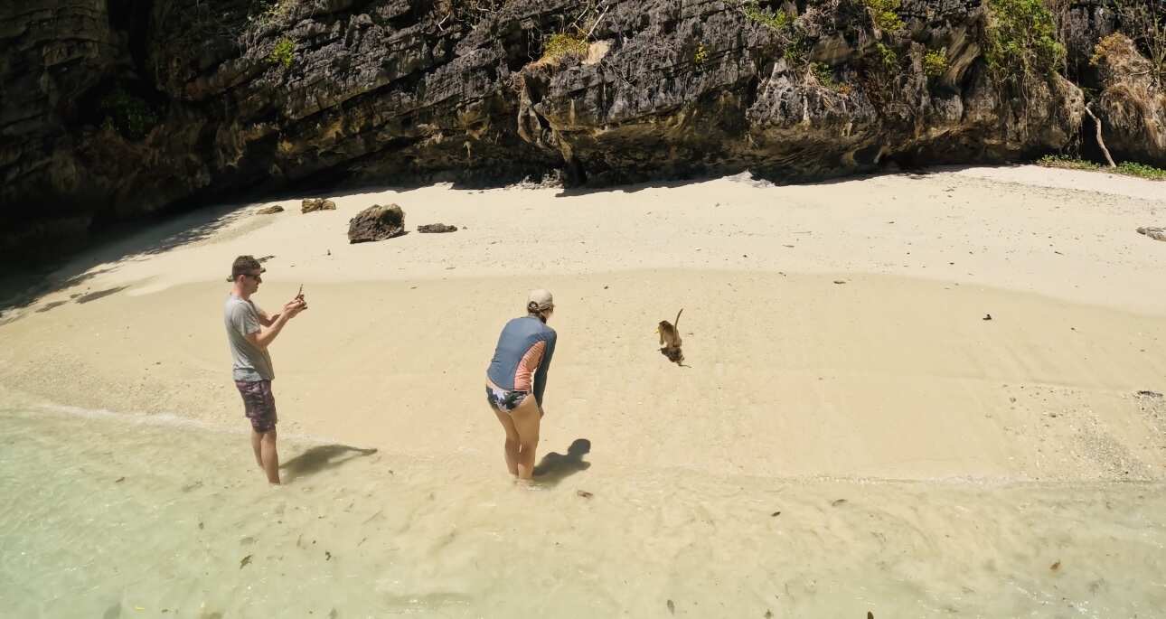 Путешествие на необитаемые острова архипелага Phi Phi. Сноркелинг с черепахами (20/41)