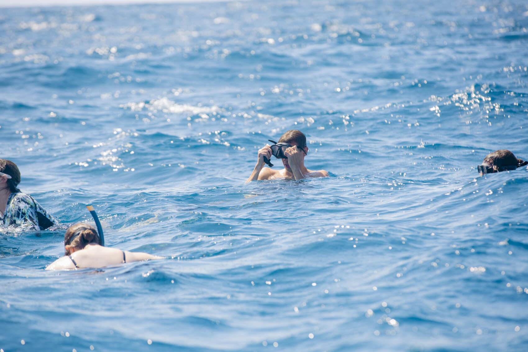 Опыт побережья: солнце, море и сафари (2/17)