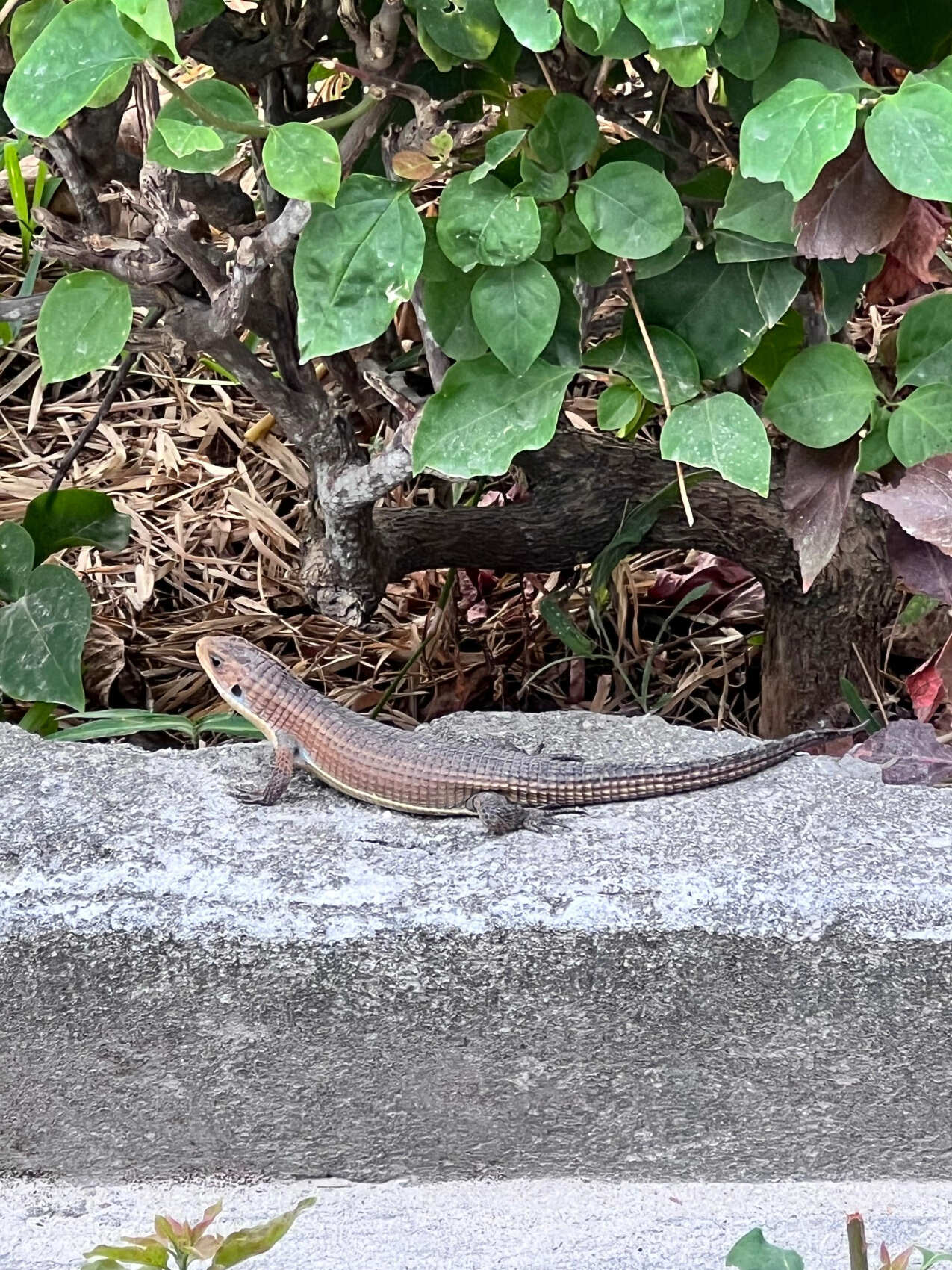 Занзибар: Приключения в Раю (19/55)