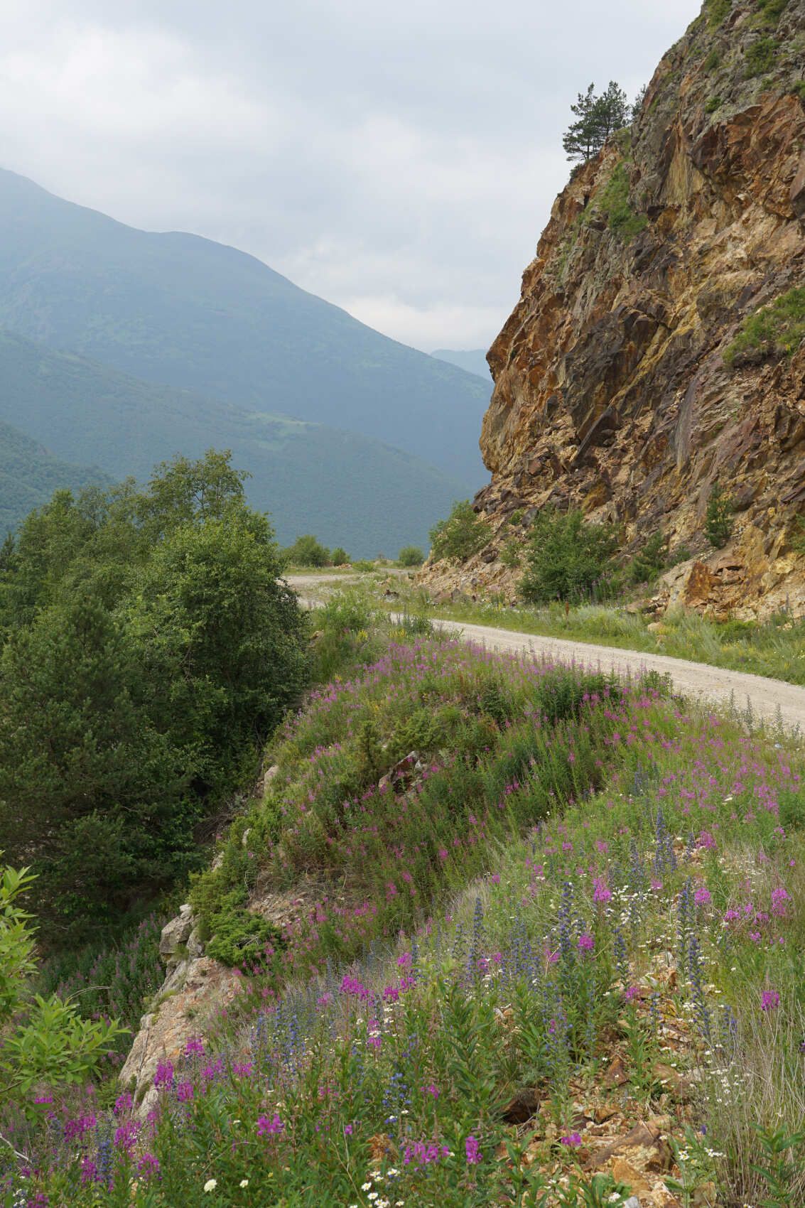 Северная Осетия и Кабардино-Балкария (21/91)